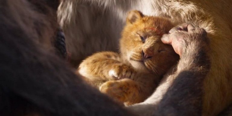 Nuevo póster y trailer de «El rey león»