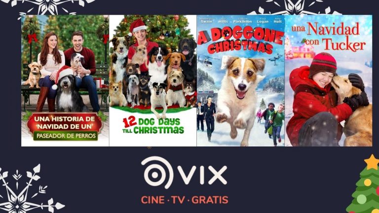LOMITOS NAVIDEÑOS EN VIX