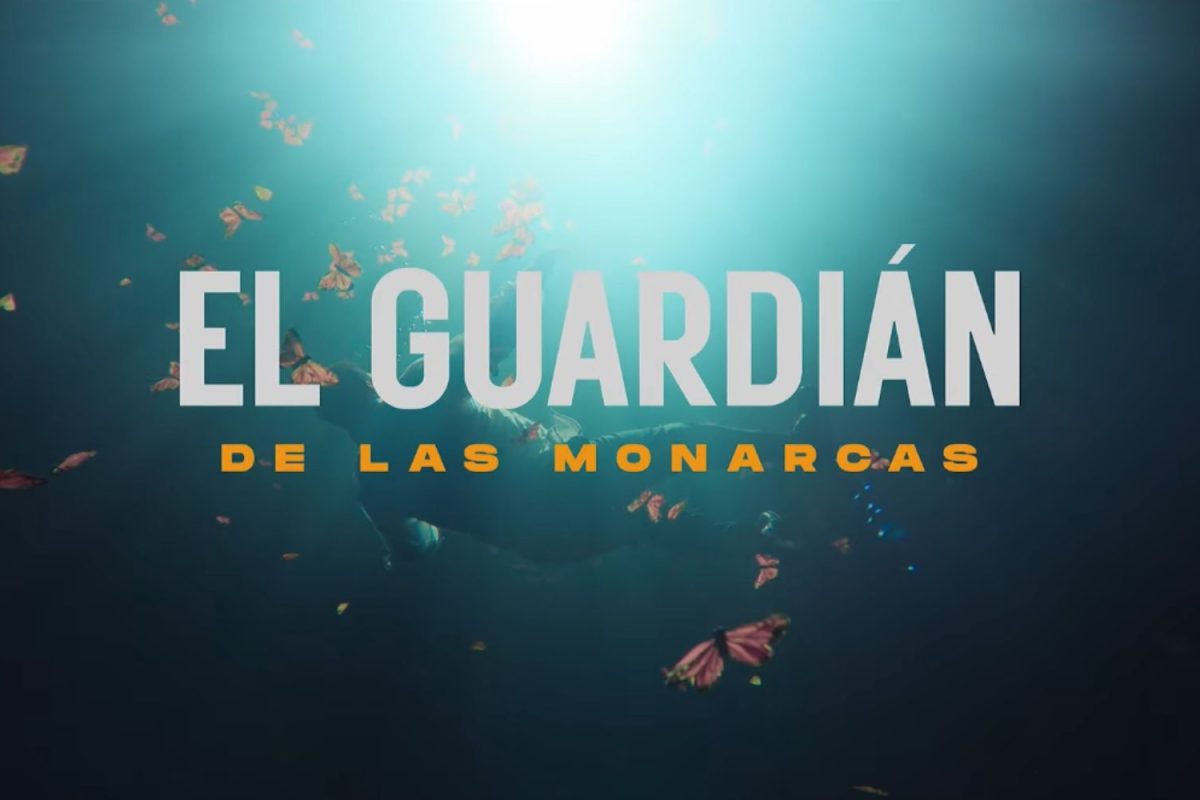 ‘El guardián de las monarcas’ fecha de estreno en Netflix póster y tráiler
