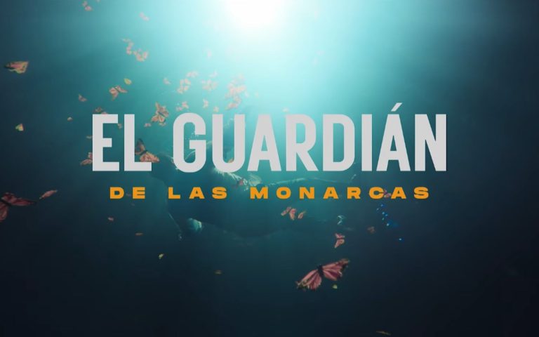 ‘El guardián de las monarcas’ fecha de estreno en Netflix póster y tráiler