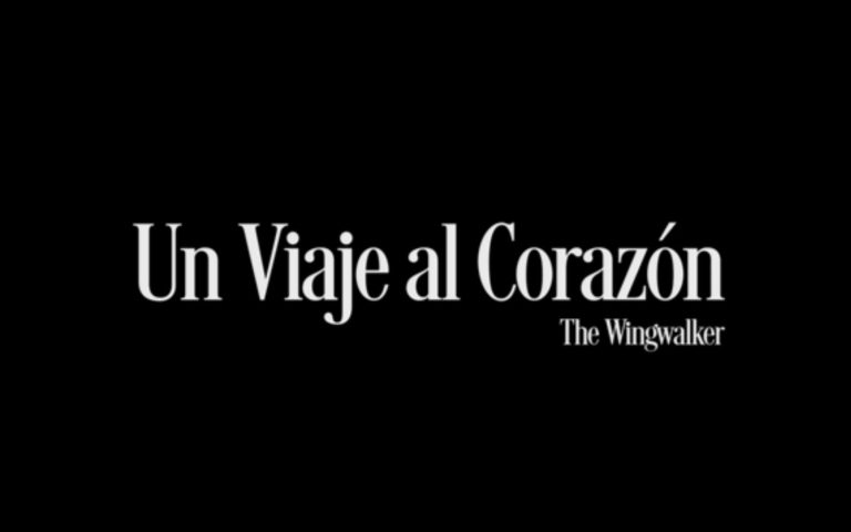 Un viaje al corazón, The Wingwalker – Estreno en México, póster y tráiler