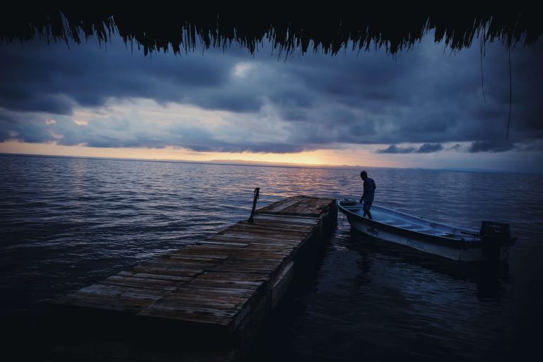 La AMC y EFD Studios presentan ‘La Mirada Fija’: Un homenaje a la cinefotografía mexicana en el Museo Franz Mayer