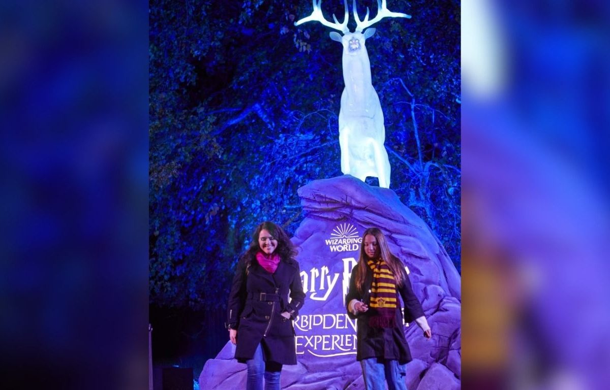 Harry Potter: La Experiencia del Bosque Prohibido llega este otoño a México