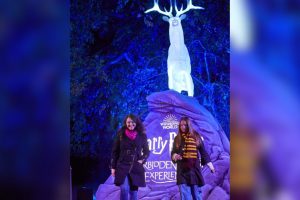 Harry Potter: La Experiencia del Bosque Prohibido llega este otoño a México