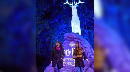 Harry Potter: La Experiencia del Bosque Prohibido llega este otoño a México