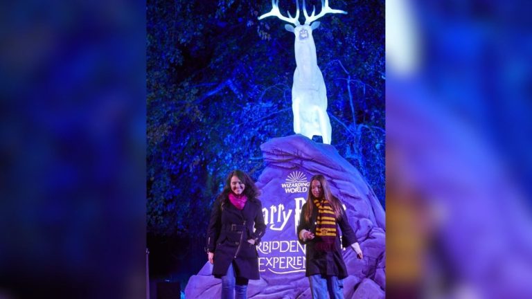 Harry Potter: La Experiencia del Bosque Prohibido llega este otoño a México