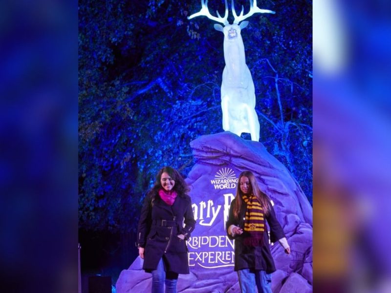Harry Potter: La Experiencia del Bosque Prohibido llega este otoño a México